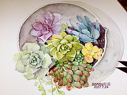 盆景植物 2019年春夏