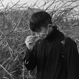 KivyBack的头像