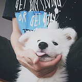 炸猪排超人6的头像