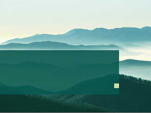 PPT-3