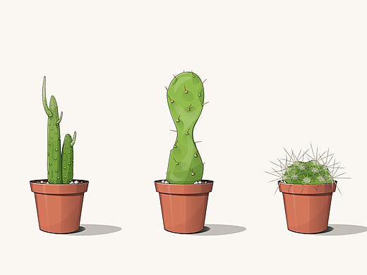 夏天的仙人掌（个人主页-ZMjMxNTc4Njg=） - 创作习作 - 站酷设计师_____chen_____原创素材 - 站酷ZCOOL