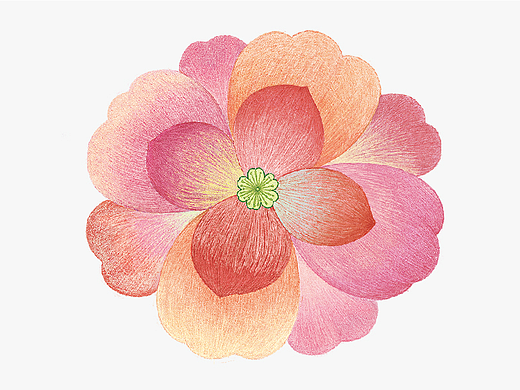 樱花-青山老农变色唇膏包装插画