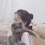 车莹莹的头像