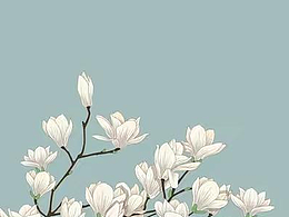 刚工作的第一、二个月：三月、四月