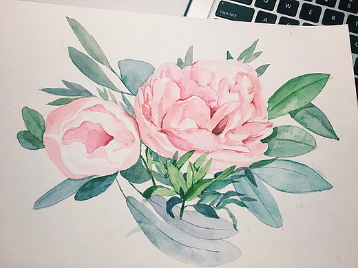 水彩花卉水彩插画练习/临摹水彩花草