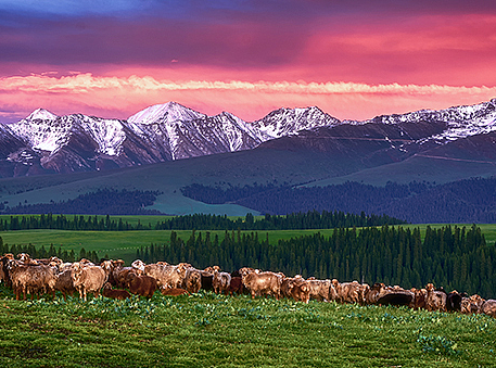 喀拉峻的童话世界