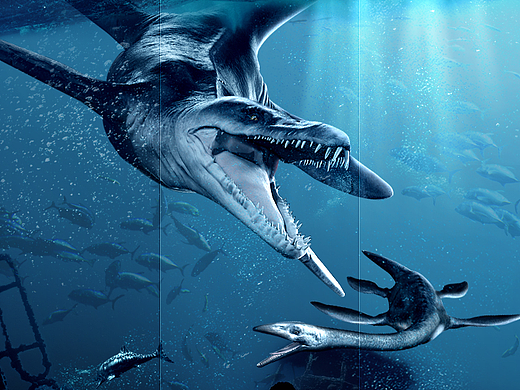 每日一连·持之以恒（个人主页-ZMjM2MTY5Mjg=） - 海报 - 站酷设计师野地里的大菠萝原创素材 - 站酷ZCOOL