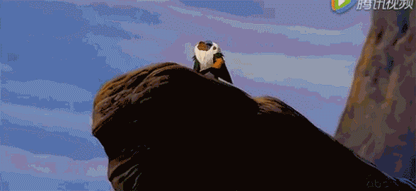 电影《狮子王》
瞬间觉得自己的使命艰巨了很多!<br><br><br>别人眼里我喂大王是这样的……