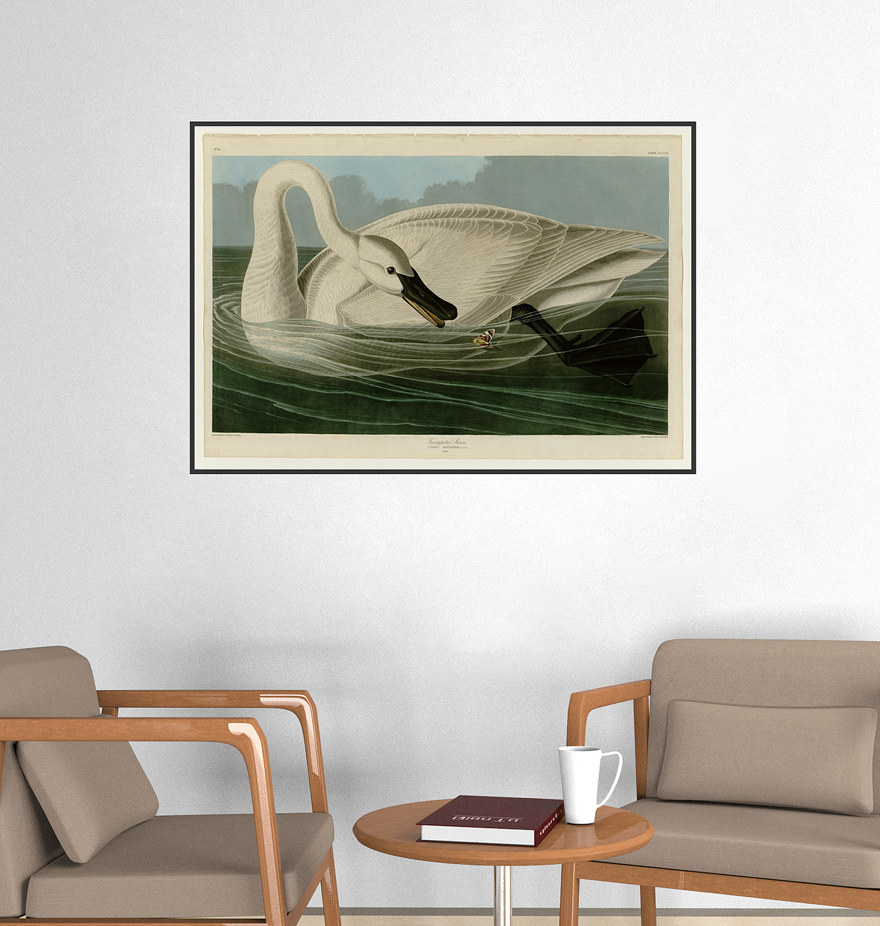 欧美鸟类装饰画