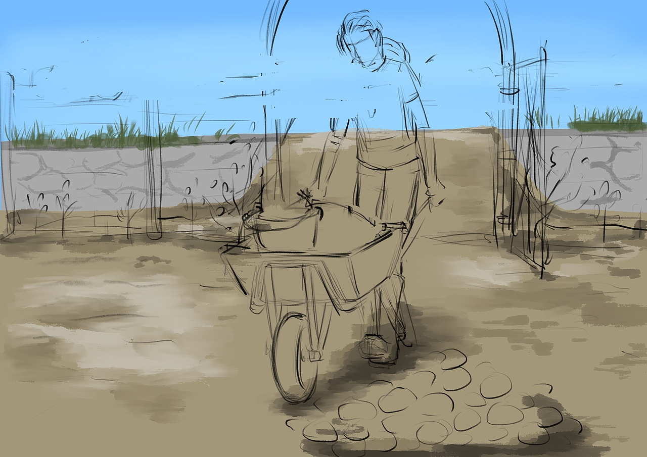 【治愈的花园】捡石头(插画)