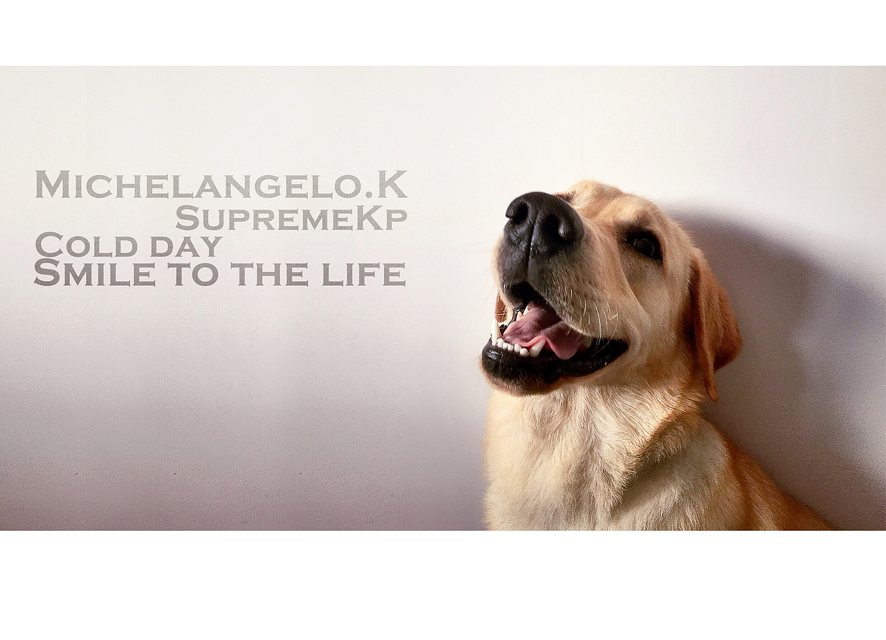 米德街舞八周年庆视觉logo设计丨一加恬源logo设计丨胶布包装设计丨