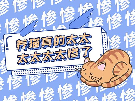 养猫实在是太太太太太太太太太惨了！