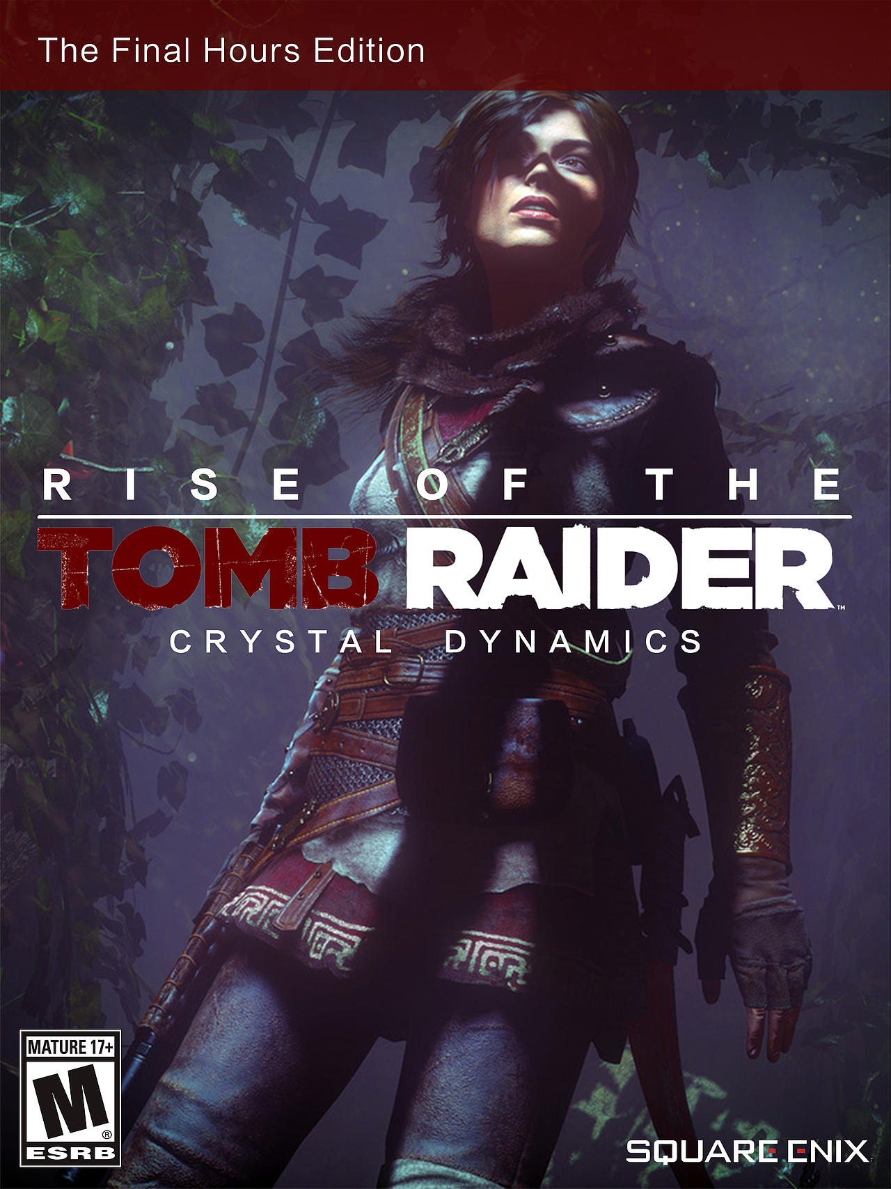 古墓丽影崛起|平面|海报|不苦劳先生_原创作品-站酷zcool