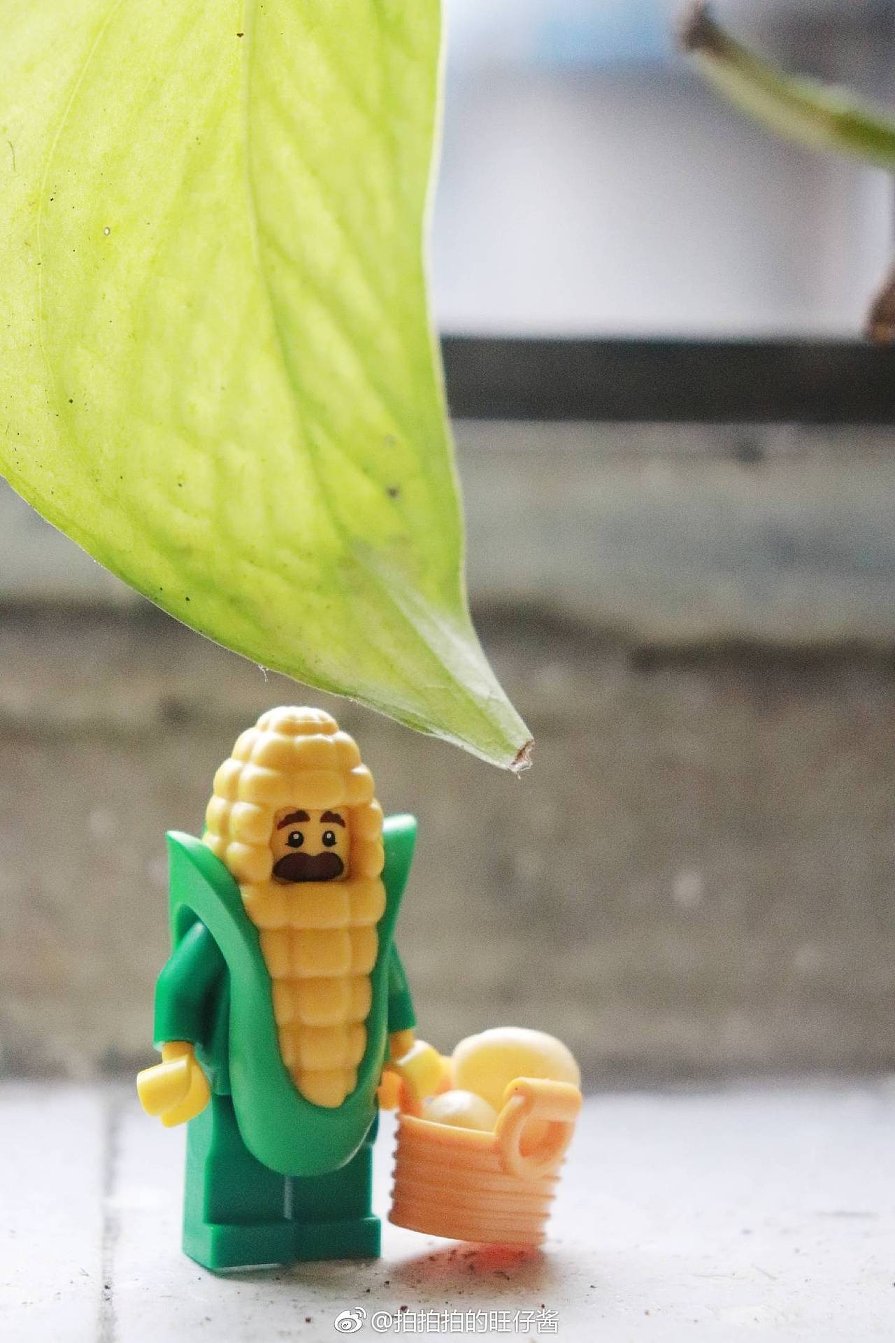 樂高之蔬菜大冒險（圖ZMTQxMDUwODky） - 其他攝影 - 站酷設(shè)計師拍拍拍的旺仔醬原創(chuàng)素材 - 站酷ZCOOL