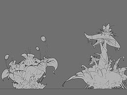植物设计