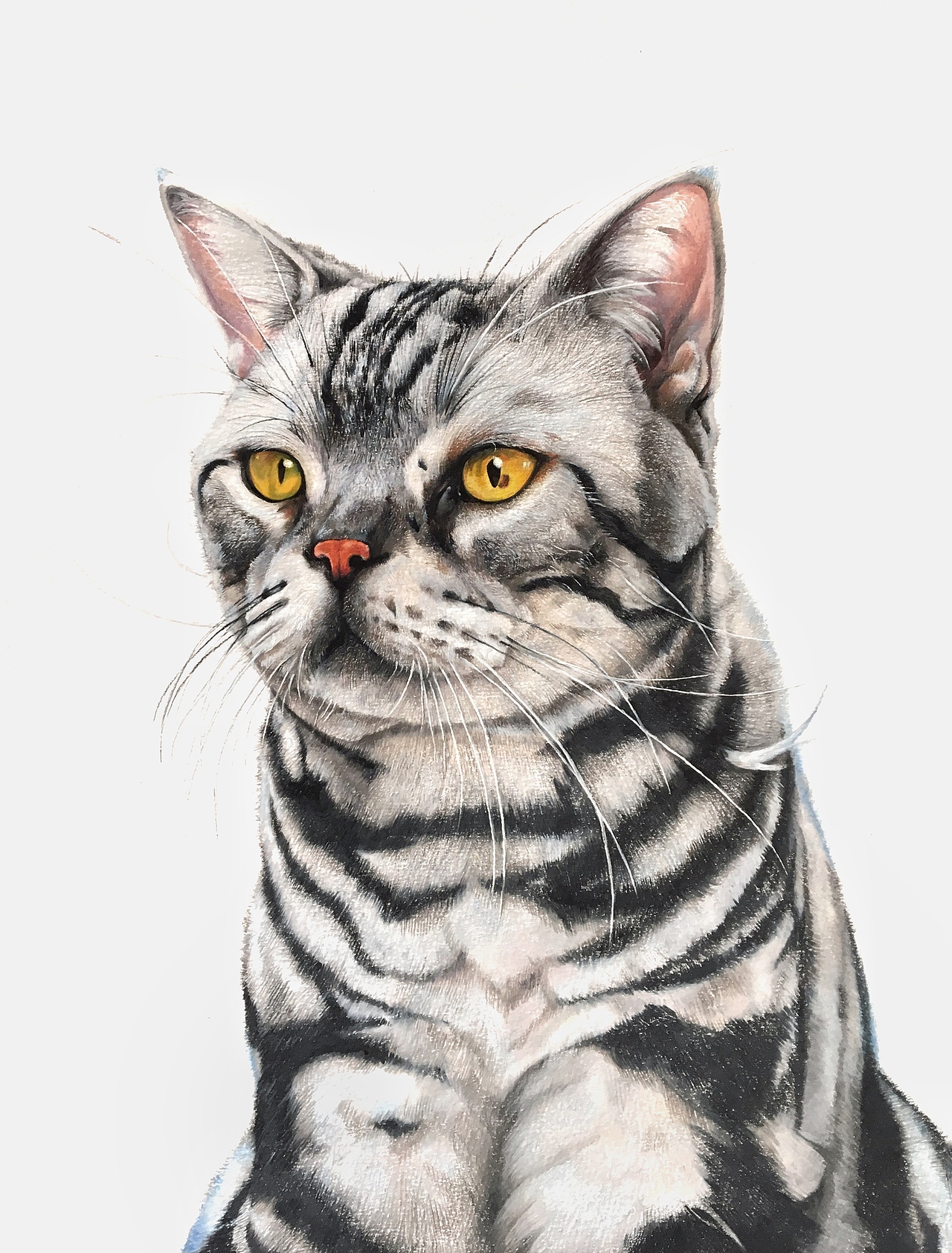 画册《观复猫 妙笔生猫非非诗》(图ZMjM5NTM1NDQ4) - 绘本 - 站酷设计师柴永生原创素材 - 站酷ZCOOL