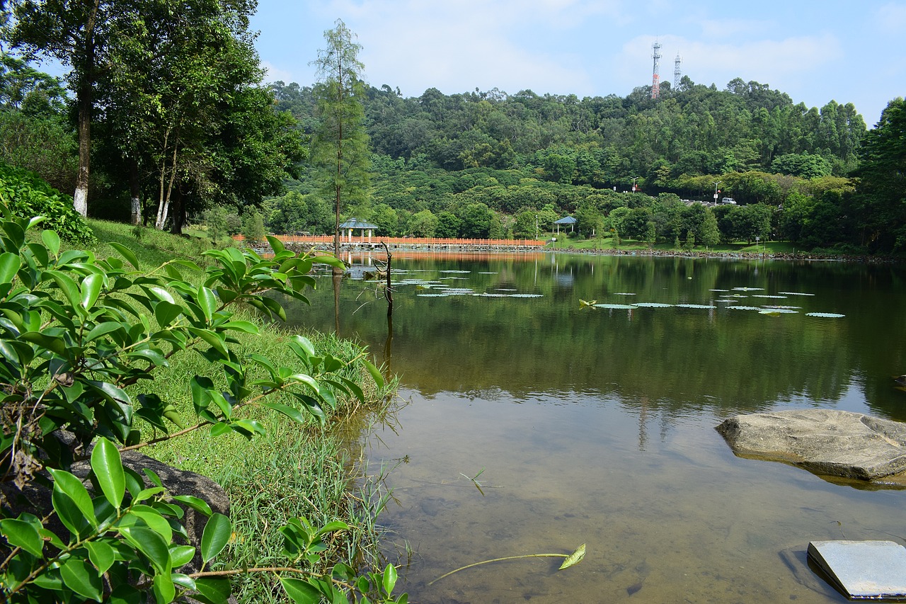 东莞大岭山一游