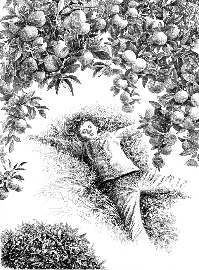 任保海为曹文轩《蓝花》创作的钢笔画作品