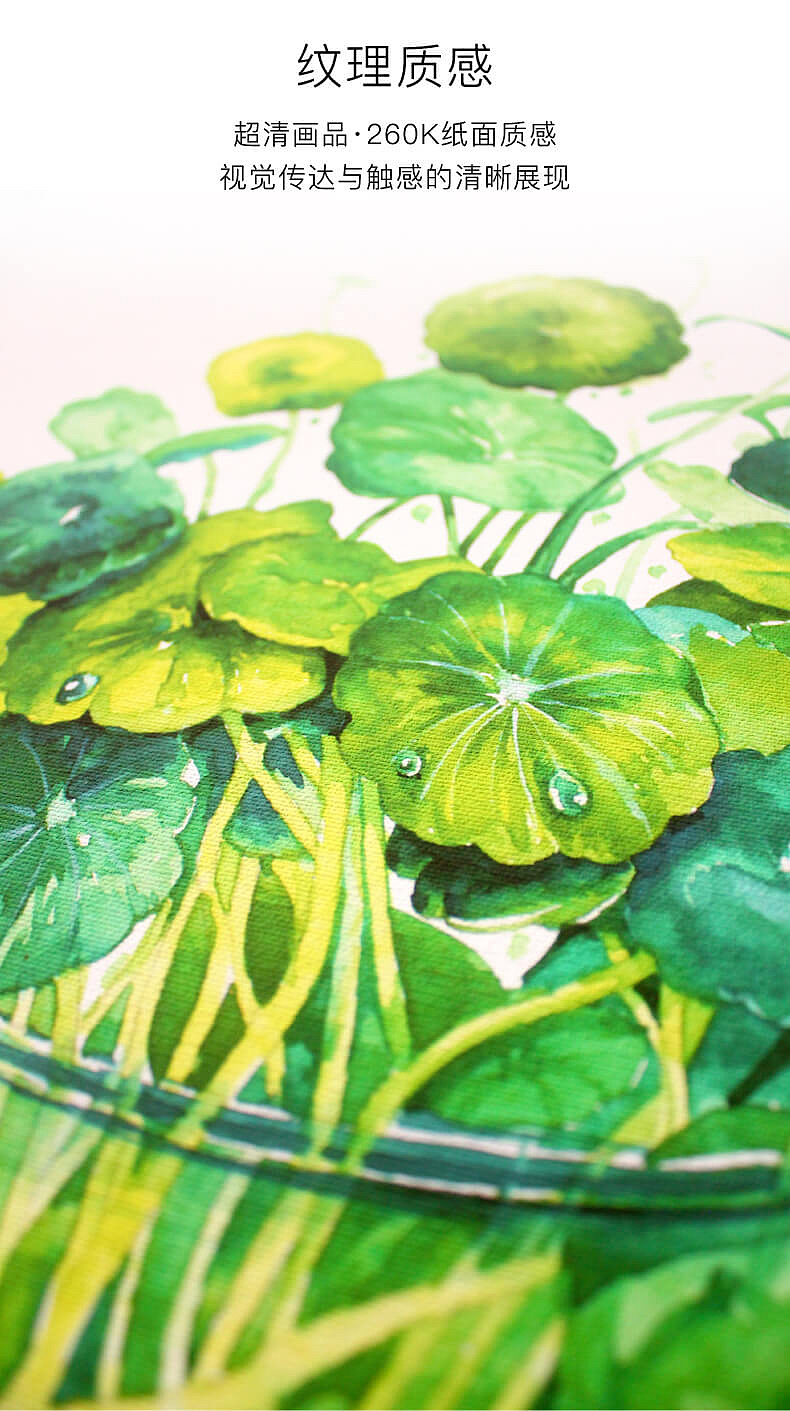 水彩清新文艺简约植物花卉