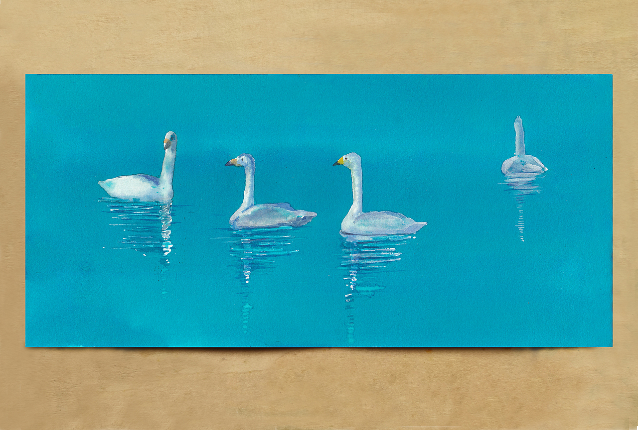 【画本系列】-我的第31本画本-日常习作