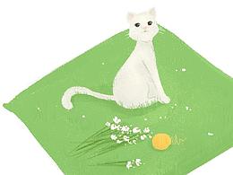 垫子上的小白猫