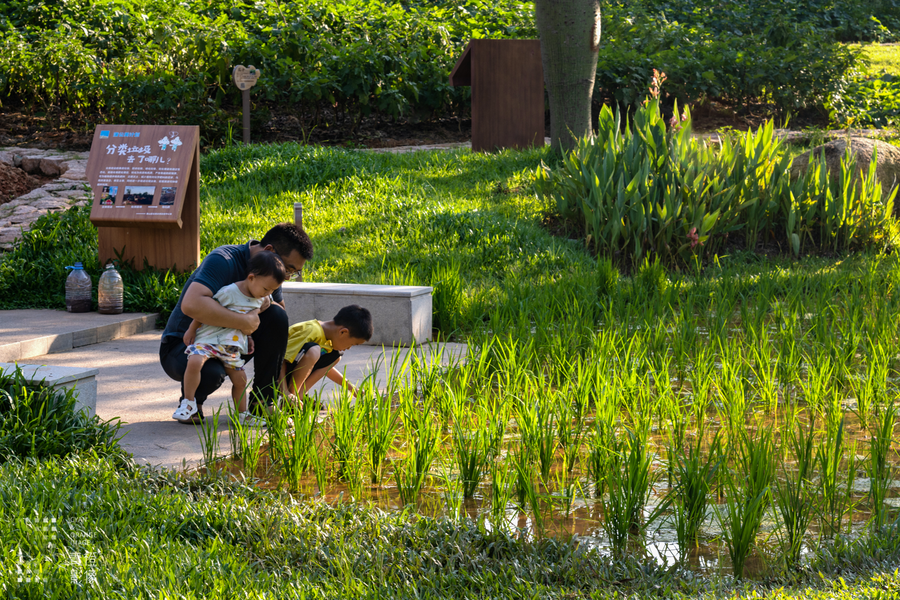 村庄规划案例一.zip