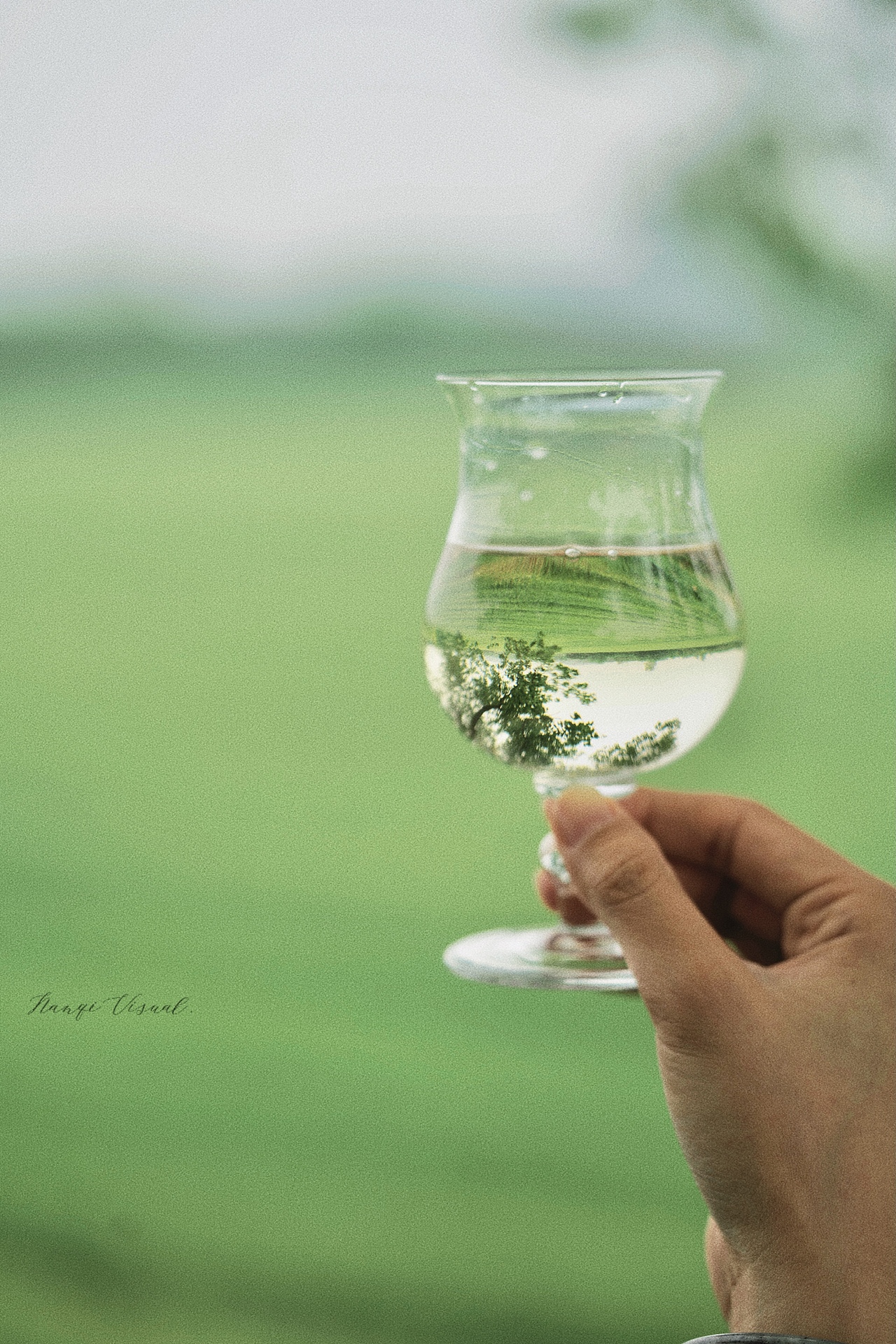 产品摄影|天山红枣酒（图ZMzY3MjUyNjk2） - 产品摄影 - 站酷设计师南杞原创素材 - 站酷ZCOOL