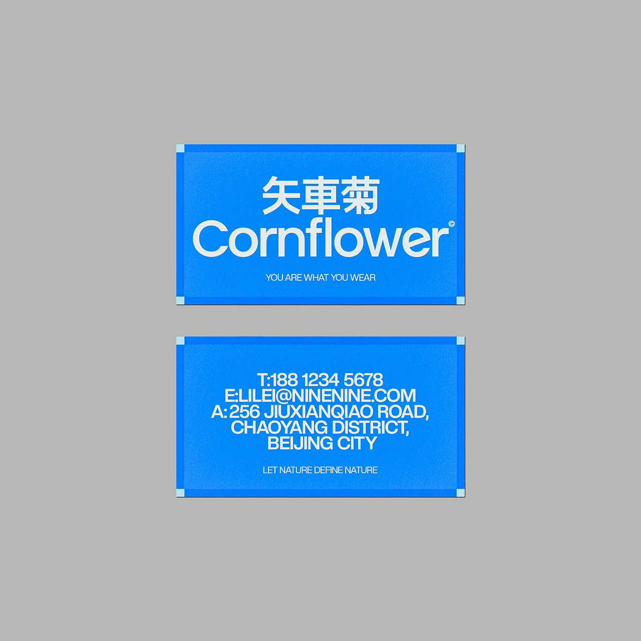 矢車菊Cornflower-由自然定义自然