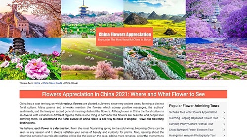 网页设计-2021（图ZMjg0MDI0ODQw） - 其他网页 - 站酷设计师carolineyuan原创素材 - 站酷ZCOOL