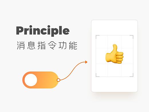 Principle消息指令功能