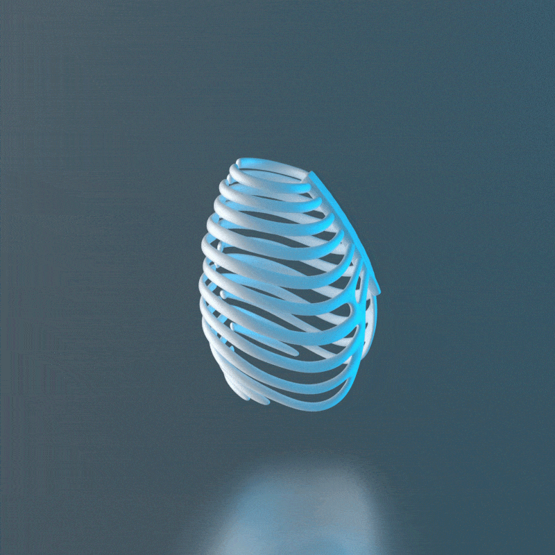 胸腔结构动态解析（图ZMjUzMTA2NzI0） - 其他三维 - 站酷设计师雕塑笔记原创素材 - 站酷ZCOOL