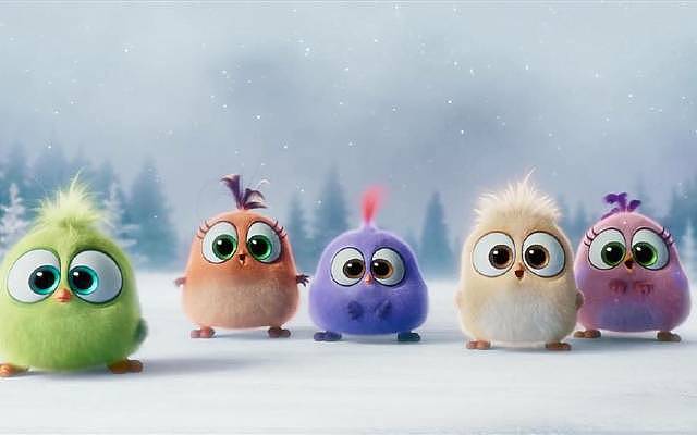 愤怒的小鸟视频