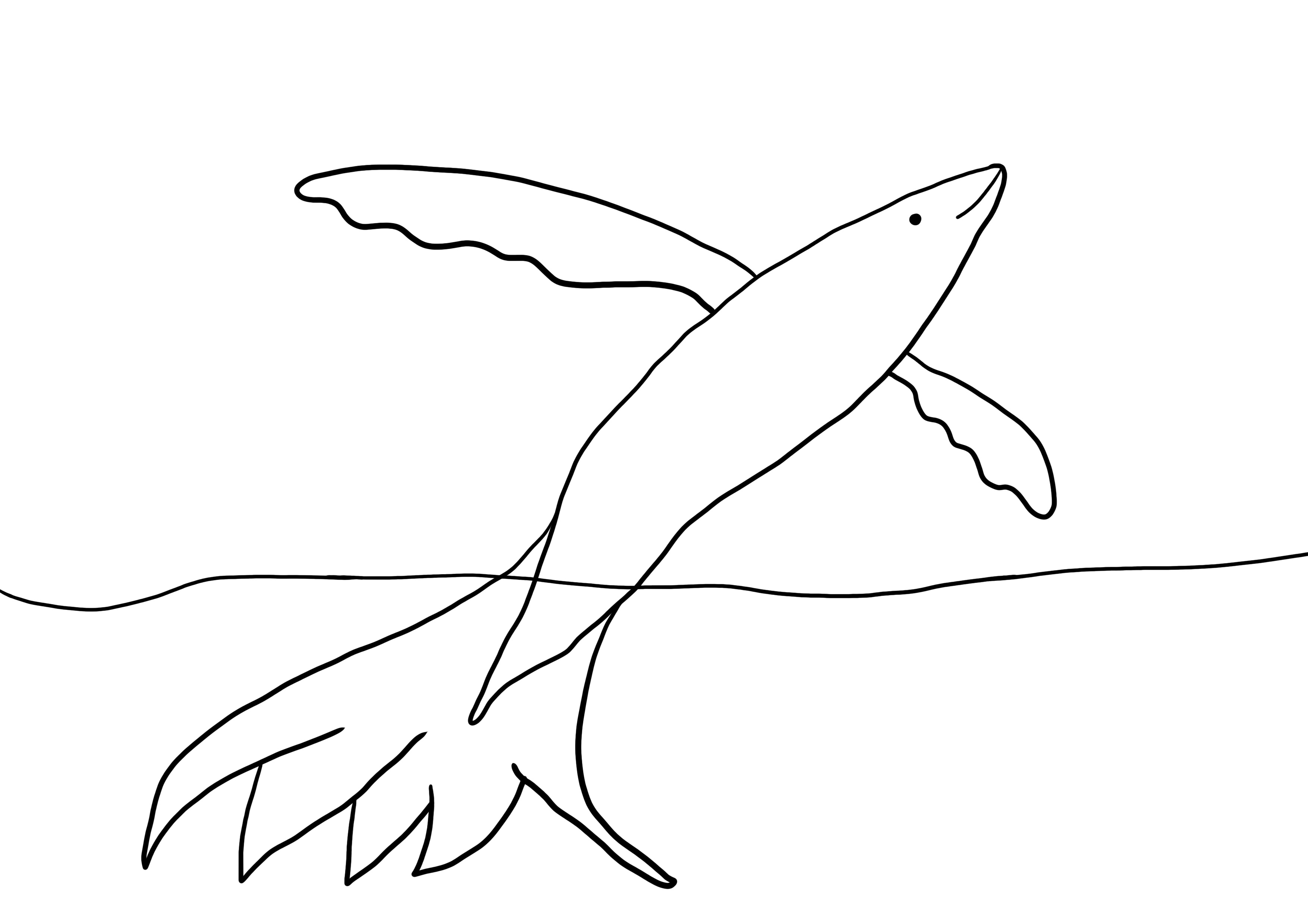 北冥有鱼配图简笔画图片