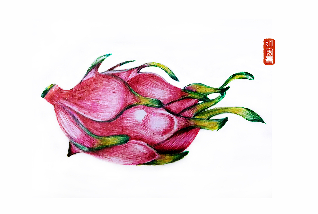 圆珠笔水果系列--火龙果、葡萄。