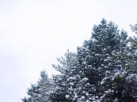 清明-缥缈四人同