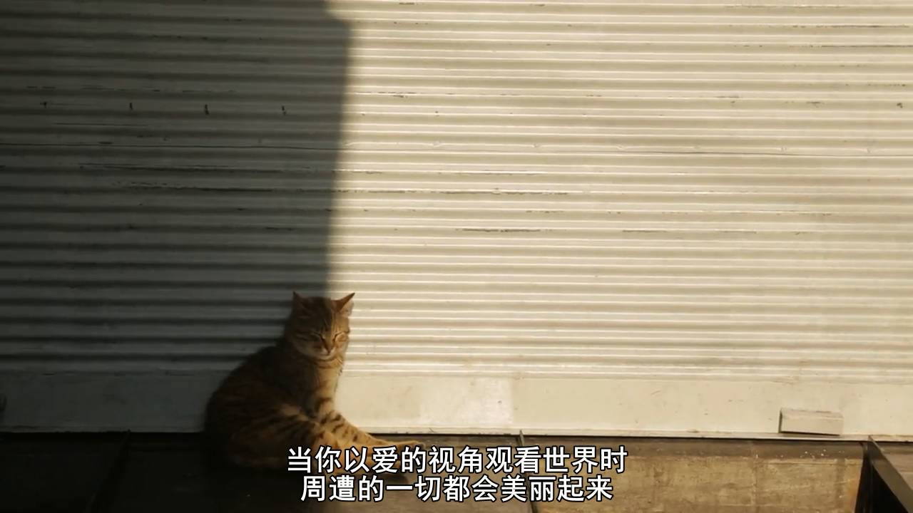 馆长的小马甲的个人主页（背景预览） - 主页背景设置 - 站酷设计师馆长的小马甲原创素材 - 站酷ZCOOL