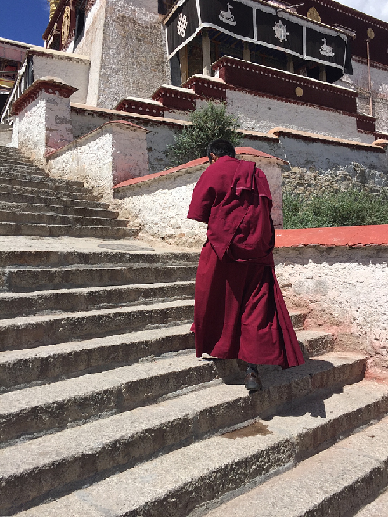 2022哲蚌寺游玩攻略,哲蚌寺是藏传佛教格鲁派寺院...【去哪儿攻略】