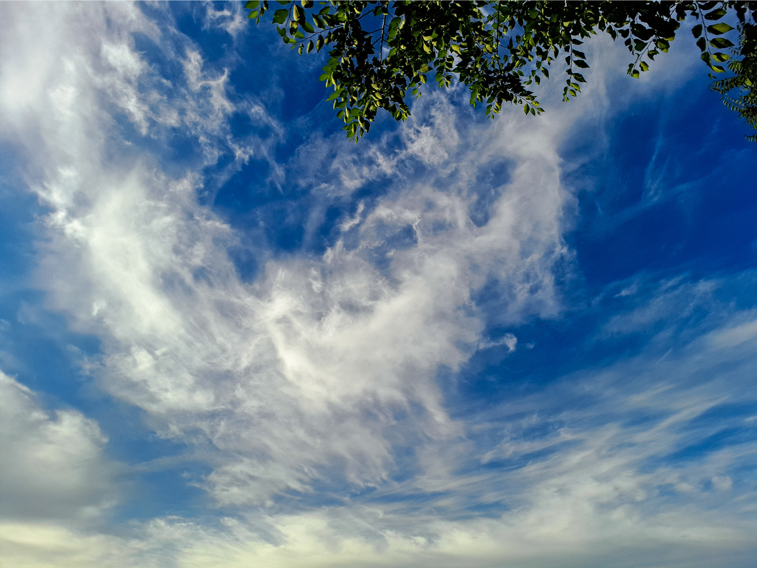 手机摄影之美爆镜头的长腿云