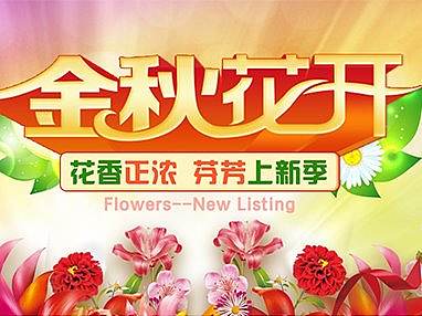 二级页-金秋花开盆栽植物页面