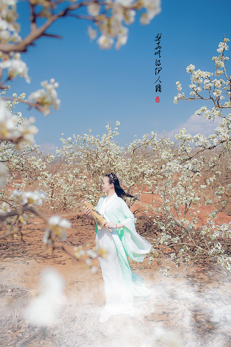 梨花映得伊人俏