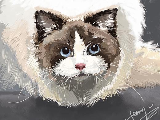 布偶猫（个人主页-ZMzY1NTE4OTI=） - 创作习作 - 站酷设计师奇点suker原创素材 - 站酷ZCOOL