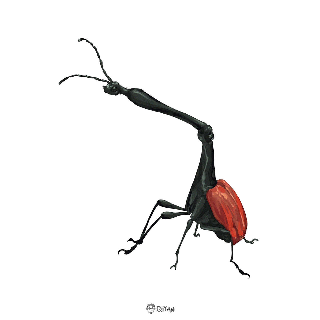 长颈鹿象鼻虫(学名:trachelophorus giraffa)