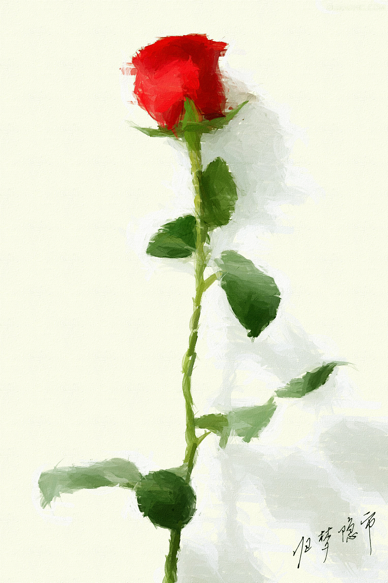 一枝红玫瑰花电脑桌面壁纸-壁纸图片大全