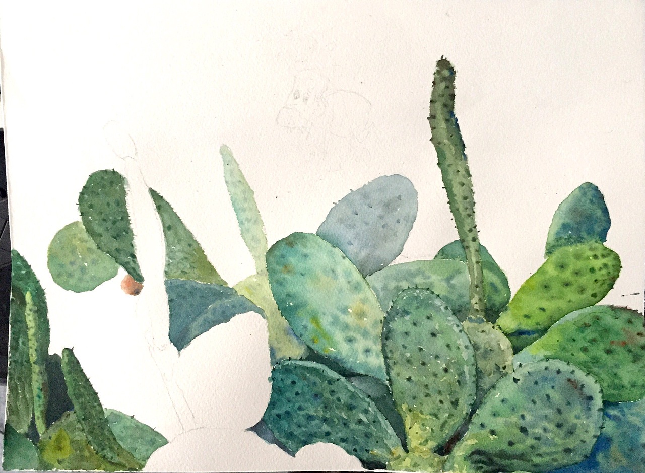 水彩插画（仙人掌上）（图ZNjIyMDQ1ODg=） - 儿童插画 - 站酷设计师净名原创素材 - 站酷ZCOOL