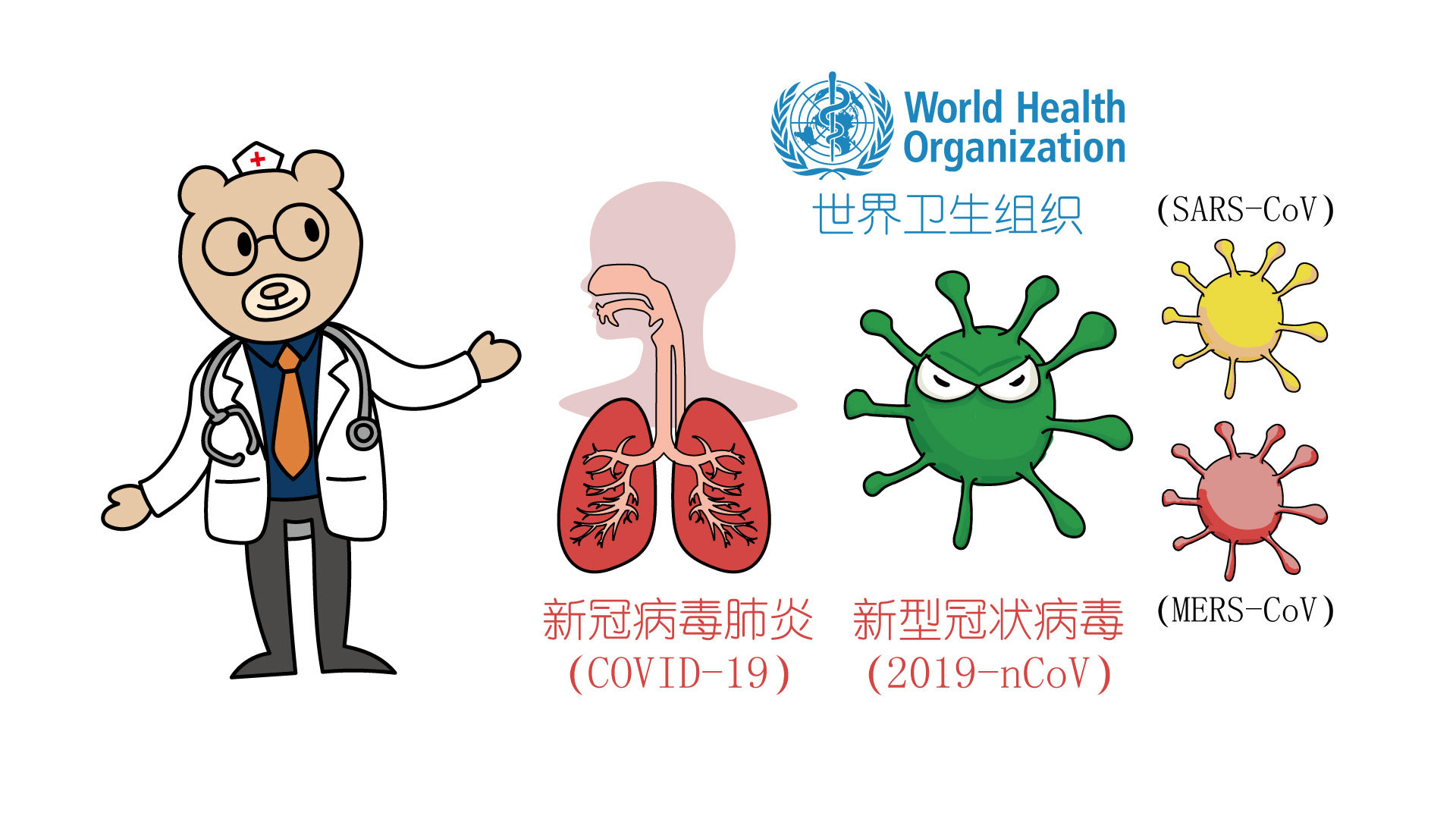 新冠肺炎疫情的来龙去脉【videoscribe手绘视频】