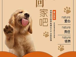 宠物海报