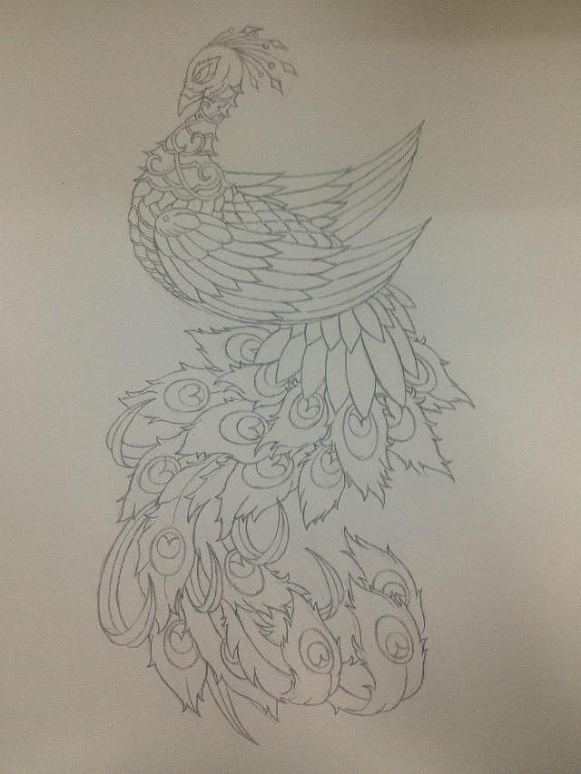 针管笔-《孔雀》|纯艺术|绘画|madeon_原创作品-站酷zcool