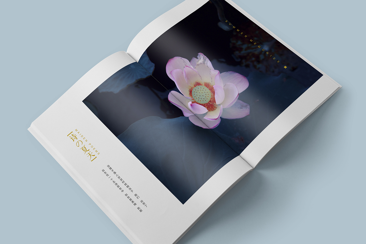 【夏の荷花】-荷花写真影集|平面|书籍/画册|木易设计design - 原创