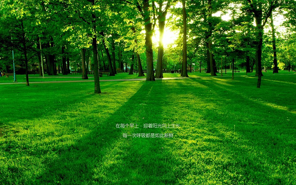 蓝光林肯公园比稿（图ZMTA0MjE2OTEy） - 品牌 - 站酷设计师加载中zzz原创素材 - 站酷ZCOOL