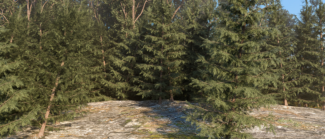 2020作品集精选合集